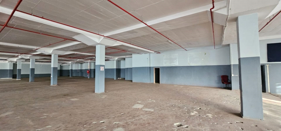 To Let commercial Property for Rent in Elsies River Industrial Western Cape